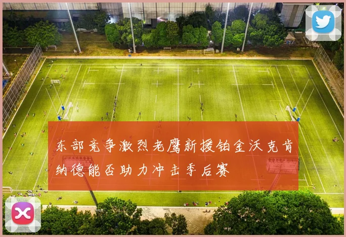 东部竞争激烈老鹰新援铂金沃克肯纳德能否助力冲击季后赛
